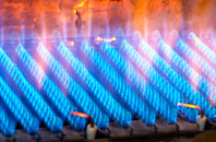 Gwernydd gas fired boilers
